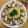 周睿芝 的 【一人食】白酒蛤蜊義大利麵 cooksnap