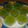 Cooksnap dari citra faradica untuk resep Puding Lumut