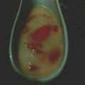 Cooksnap dari Mama Diva untuk resep Kolak Pepaya
