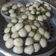 Cooksnap dari Tri Rahayu untuk resep Apem Kukus (apem contong)