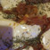 El cooksnap de Lorena Perez cuando hizo Pizza de avena, rica y sana 😊.