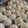 El cooksnap de Bren Rasjido cuando hizo Scones de queso.