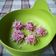 Cooksnap dari Ika Suartika untuk resep Klepon buah naga