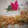 รูป Cooksnap ของ Charanai Thamakul เมื่อเขาทำ ข้าวเม่าหมี่