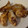 Cooksnap de Raquel quando cozinhou Guioza na airfryer.