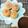 Cooksnap dari Anita Kartika Sari untuk resep Kue Sus isi Vla