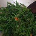 Cooksnap dari Putu Balina Javandanie Chorie untuk resep Tumis Pucuk Labu
