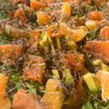 El cooksnap de Raquel Portales Amo cuando hizo Ensalada de salmón con aguacate, mandarinas y escamas de sal.