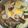 Cooksnap dari Ny. yohan untuk resep Sayur Lodeh