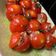 El cooksnap de Equipo Cookpad cuando hizo Tomates cherry rellenos.