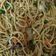 Cooksnap dari yeyen tjikmal untuk resep Bakmi Goreng