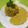 🇵🇸💖🇩🇿 DJAZIA BER✌️ 🇩🇿💖🇵🇸 का कुकस्नैप जब उन्होंने कॉर्न पुलाव (corn pulao recipe in Hindi) बनाया था।