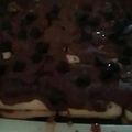 El cooksnap de Florencia Romero De De Luca cuando hizo Torta de galletitas de agua, chocolate y avena .
