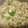 Misbah Anjum's cooksnap of when they made White sauce Macroni.