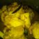 Cooksnap dari Mom Zaidan untuk resep Rica ayam bumbu kuning