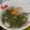 Cooksnap dari Putri Cintya untuk resep Sayur Asem Kangkung Khas Jawa Timur