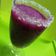 KALPA's cooksnap of when they made જામુન શોટ્સ (Jamun Shots Recipe In Gujarati).