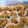 novak.britt's cooksnap of when they made Cornflake Cookies.