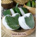 Cooksnap dari Ati Agus Sapto (Mom's Firza) untuk resep Tempe Homemade by Mom