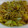El cooksnap de Rober Villandiego cuando hizo Puerros al curry.