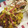 El cooksnap de Aranthza Isabella Gordon cuando hizo Arroz con pepitonas.
