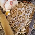 کوک اسنپ مهرناز نظرپور بعد از امتحان کردن فتوچینه (Fettuccine) - پاستای تازه.