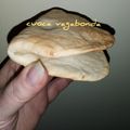 il CuocaVagabonda quando ha preparato Bao (pane cinese)