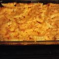 bryan.r.cummins's cooksnap of when they made Cheeseburger French fries casserole.