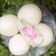 Cooksnap dari Sun Tea Mis untuk resep Bakpao Rainbow