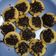 Cooksnap dari Sita Ariesta Prananingrum untuk resep KUE CUBIT,enaaak....