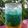 Cooksnap dari Kiki Risky untuk resep Blue Ocean KW