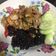รูป Cooksnap ของ cutiepie เมื่อเขาทำ สามชั้นผัด พริกเกลือ คีโต keto ทำง่ายสุด