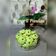 Cooksnap dari lus1 winars1h untuk resep Resep kue kering semprit pandan