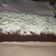 Cooksnap dari Desy Fanggidae untuk resep Brownies