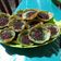 Cooksnap dari Anin Barbie untuk resep Martabak Mini Simpel