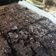 Cooksnap dari Atika Indra untuk resep Fudgy Shiny Crust Brownie / Brownies Panggang