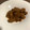 El cooksnap de Tamari Serrano Araujo cuando hizo Higaditos de pollo en cebolla y salsa de tomate.