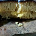 Cooksnap dari rika mandasari untuk resep Martabak manis teflon