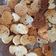 El cooksnap de Valeria Rodriguez Saravia cuando hizo Tostadas con aceite y orégano.