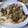 El cooksnap de Alfonso C. S. cuando hizo Besugos al horno con vuelco de almejas a la cidra.