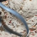 El cooksnap de Rogelio cuando hizo Bizcochitos de grasa muy fáciles.
