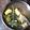 Cooksnap dari cindyarta untuk resep Sayur asem simple