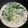 Cooksnap dari Firda Milla untuk resep Spinach & Brokoli Creamy Mushroom