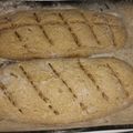 El cooksnap de Omar cuando hizo Pan integral dulce de naranja sin azúcar 🍊🍊🍊.