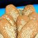 Cooksnap dari Bunda Maulida untuk resep Roti Gambang