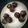 Urvi Buddhadev's cooksnap of when they made ખજુર ડ્રાયફ્રુટ લાડુ (Dates Dryfruit Ladoo Recipe In Gujarati).