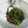 Cooksnap dari Rebecca Muaya untuk resep Tumis kangkung balacan