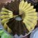 Cooksnap dari Verawati Afta untuk resep Premium Marble Cake