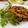 Joyce Ng'ong'a's cooksnap of when they made Chips masala and sausage...
