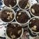 Cooksnap dari Fadmi Zuliani untuk resep Choco Cupcakes
